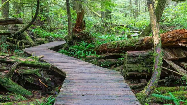 Northern Virginia's Best Parks
