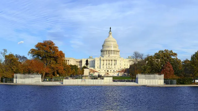 Things to Do in Washington DC & Northern VA