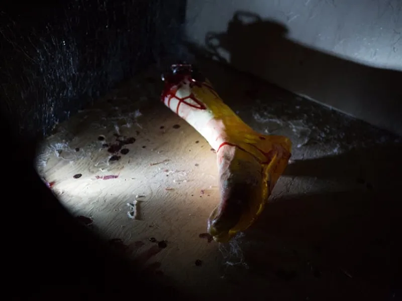 Trailer for Molly's Horror room
