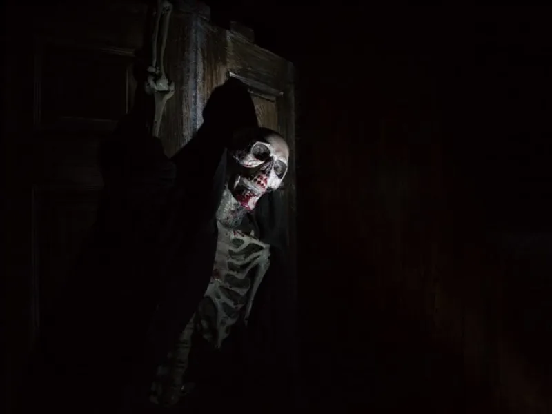 Inside Molly's Horror room at Bond's Fairfax, photo 3