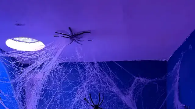 Elven Forest: The Crawling Dark, inside the room at Bond's Arlington