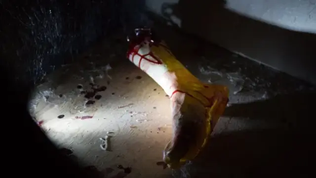 Molly's Horror Room, inside the room at Bond's Fairfax